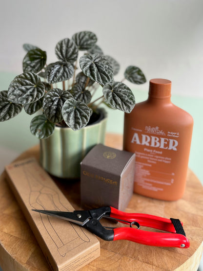 Green Thumb Gift Bundle