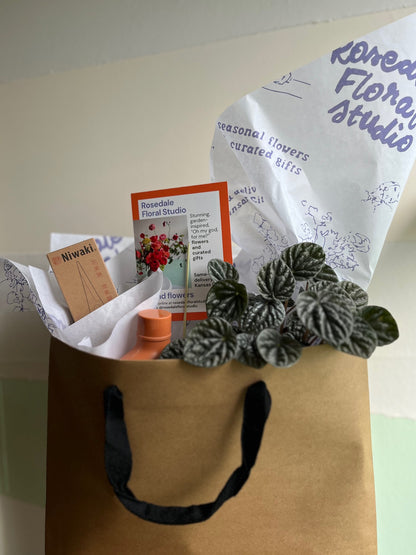 Green Thumb Gift Bundle